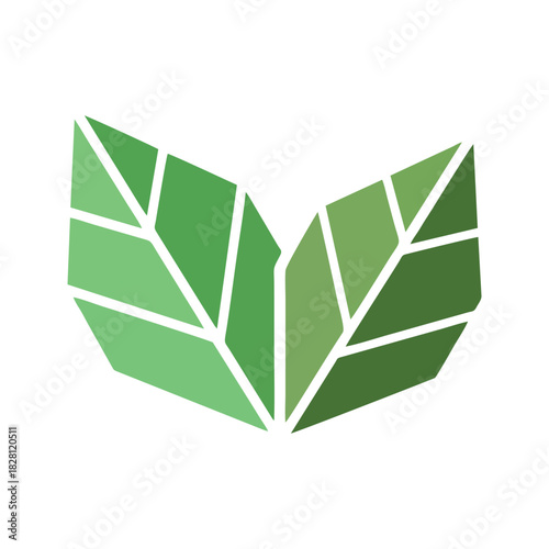 vector green leaf isolated on white