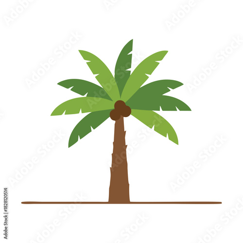 vector palm tree isolated on white background