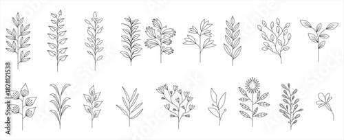 PrintCollection of simple delicate hand drawn flowers leaves and branches in line art style. Trendy vector botanical sketch illustration on white background