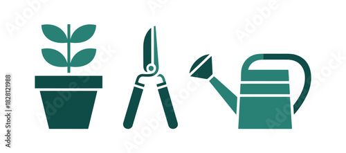 Gardening tools and a potted plant are arranged together.