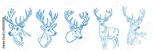 Hand drawn reindeer illustrations for festive christmas decoration and seasonal winter design projects