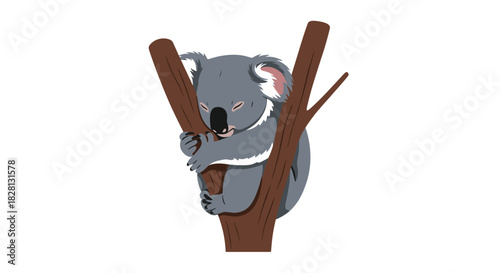 A very cute and sleepy cartoon koala is shown hugging a tree branch tightly while napping peacefully on a white background.