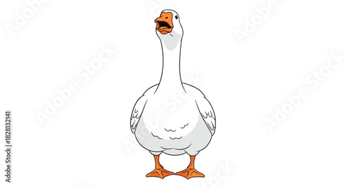 A funny white domestic goose is standing and looking up with its beak open as if it is honking loudly or squawking.