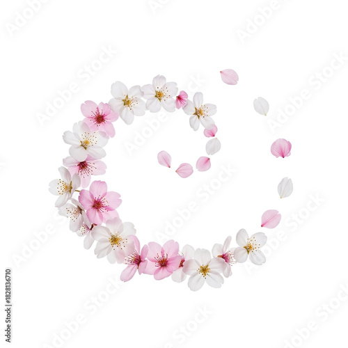 Delicate Cherry Blossoms Swirl Arrangement on Soft Pink Background