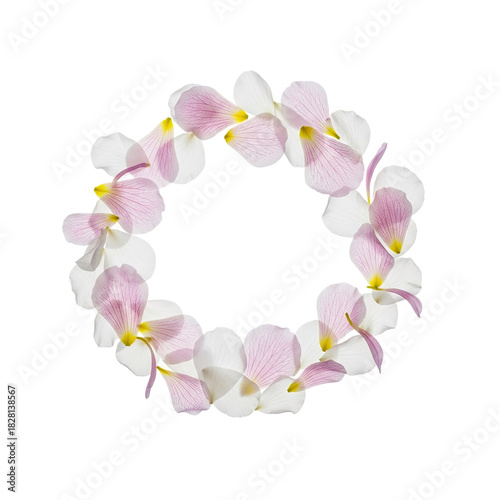 Delicate Orchid Flower Wreath with Pink and White Petals on Soft
