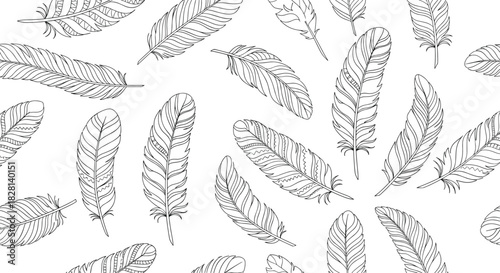 Seamless black and white pattern of delicate hand-drawn bird feathers with various boho style decorative line details.
