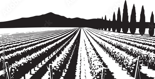 Scenic Vineyard View Rows of Grapevines, Trees, and Distant Mountains