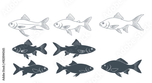 A set of nine fish illustrations including crucian carp shown in outline and solid silhouette styles for fishing and seafood.