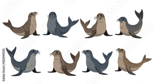 A cute collection of eight cartoon harbor seals in various playful and resting poses isolated on a clean white background.
