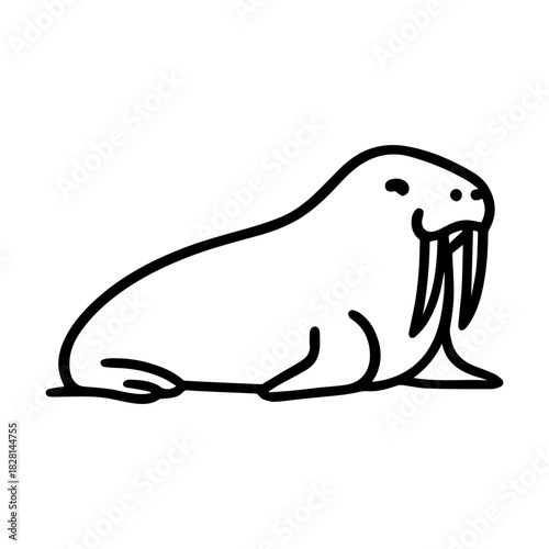 walrus lying vector line icon on a white background
Vector line icon on a white background