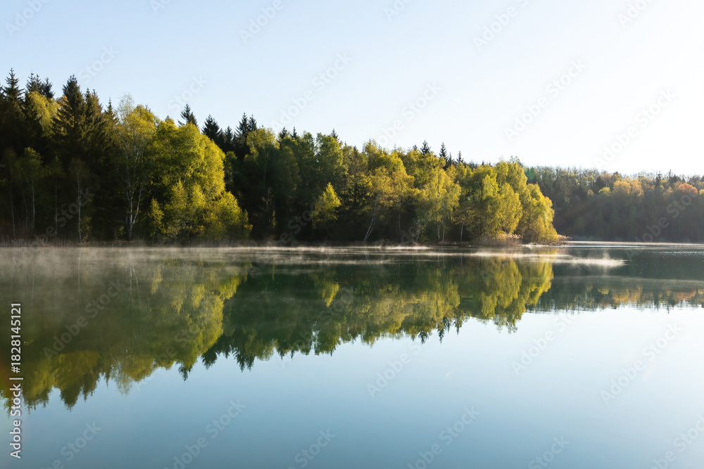 Obraz premium Mirror-Smooth Lake Reflects Serene Forest on Sunny Day for Peaceful Nature Scene.