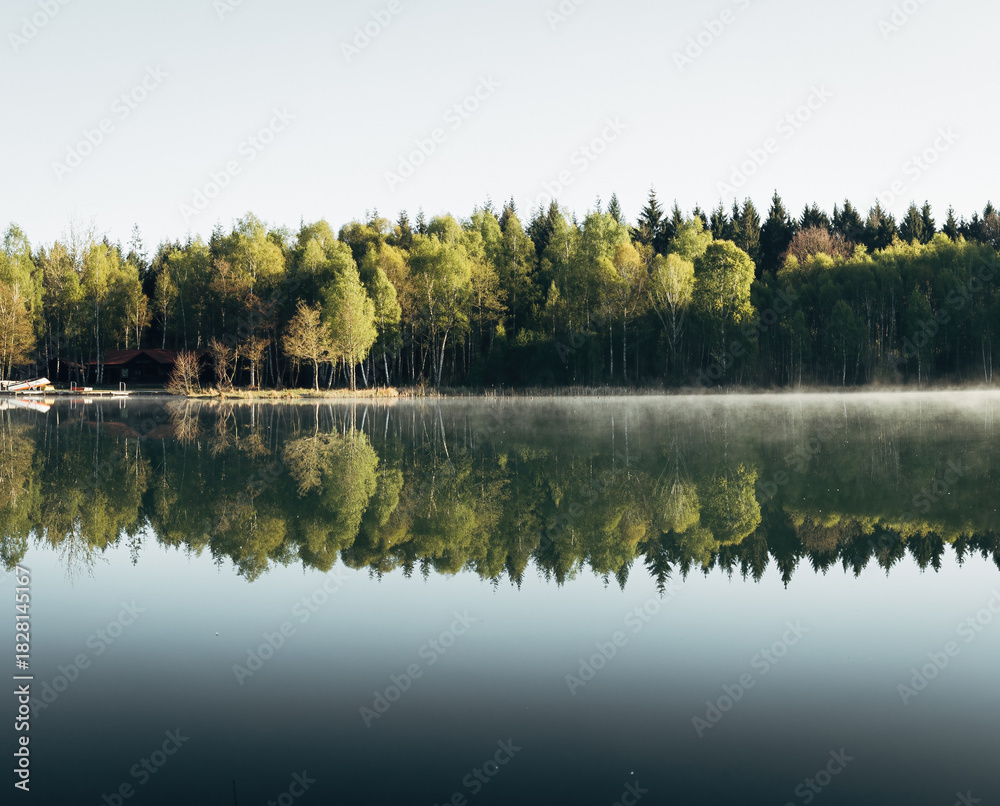 Obraz premium Mirror-Smooth Lake Reflects Serene Forest on Sunny Day for Peaceful Nature Scene.