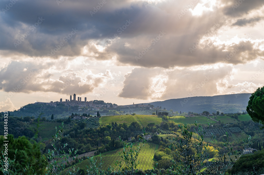 Fototapeta premium Tuscany view 