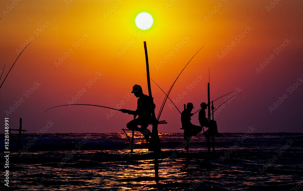 Fototapeta premium traditional stilt fishermen of sri Lanka fishing at sunset