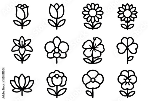 Set of minimalist flower icons in bold-line style: rose, tulip, daisy, sunflower, lily, orchid, hibiscus, clover, lotus, peony, poppy, pansy.