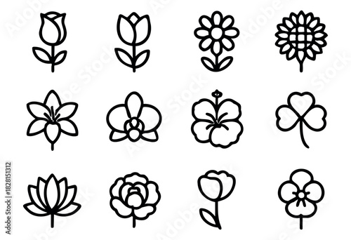 Set of minimalist flower icons in bold-line style: rose, tulip, daisy, sunflower, lily, orchid, hibiscus, clover, lotus, peony, poppy, pansy.