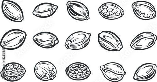 Stylized vector illustration of various nuts and seeds in an outline style, perfect for food-related designs and packaging.