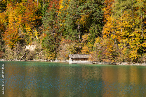 Lago Alpsee no Outono – Paisagem de Águas Cristalinas em Füssen, Alemanha