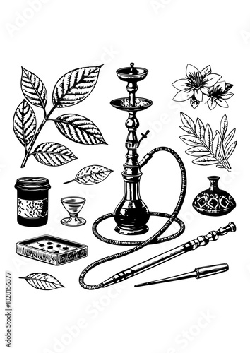 Hookah and Botanical Elements Engraving