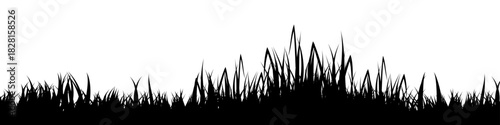 Meadow silhouette with grass, plants on plain. Panoramic summer lawn landscape with herbs, various weeds. Herbal border, frame element. Black horizontal banners. Vector illustration