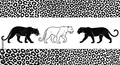 Leopard and panther silhouette, vector illustration of walking big cats, seamless animal skin pattern, black and white jungle predator, wildlife design elements, isolated background.