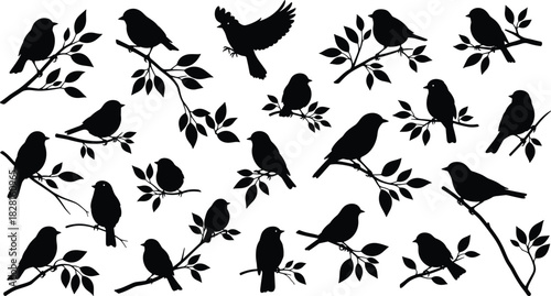 Collection of black bird silhouettes perched on branches with leaves leaf tree