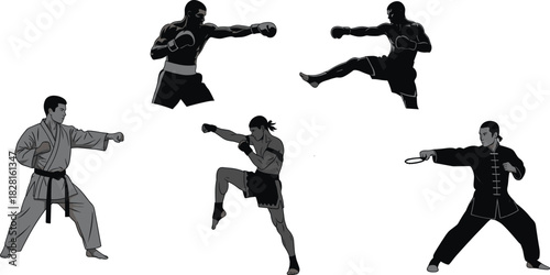Five diverse martial artists in action poses with distinct clothing and fighting styles