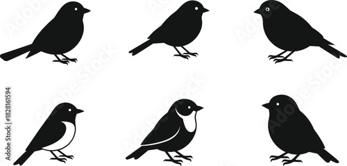 Six black and white bird silhouettes on white background avian