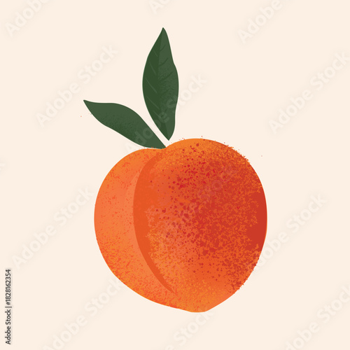 Peach Ripe delicious apricot illustration