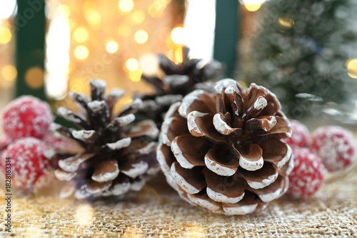 Christmas Winter Holiday Decor - pine cones and lights