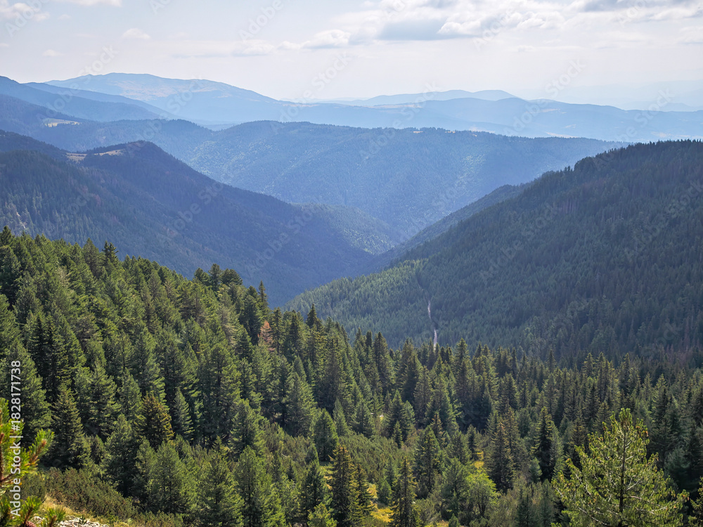 Obraz premium Rila mountain near Granchar Lake, Bulgaria