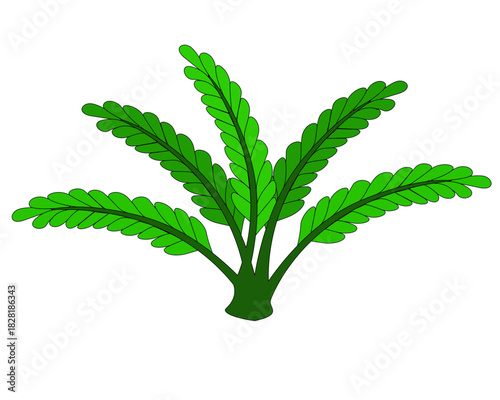 Sea plant, bush for an aquarium - vector full-color illustration. Algae, underwater bush green