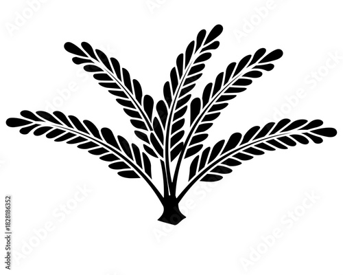 Aquatic plant, aquarium bush, seaweed – vector silhouette image for a logo, pictogram, or stencil. Marine underwater plant silhouette for laser cutting