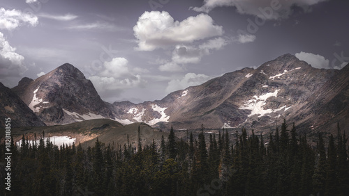 The Colorado Rocky Mountains and a blue sky with puffy white clouds. There is a forest of pine trees at the bottom of the photo. 