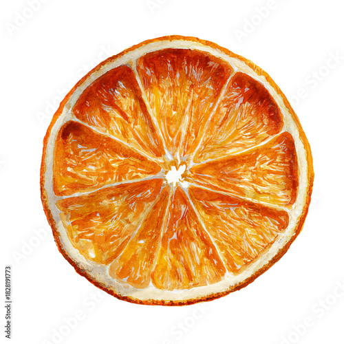 Watercolor illustration of dried orange slice on white background 
