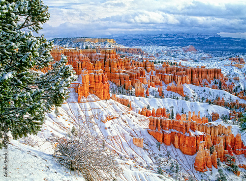 Bryce Canyon National Park hoodoos set apart by the freshly fallen snow.
