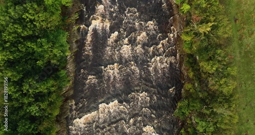 Top down shot of river in the forest