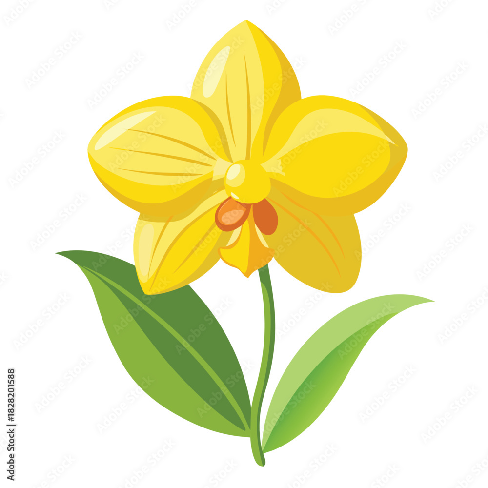 Fototapeta premium Yellow orchid