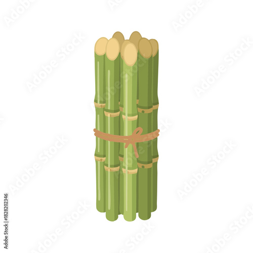 Bundle of sugarcane sticks tied together for Lohri celebration  