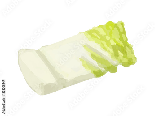 ザク切りした白菜のベクターイラスト(料理素材・鍋具材)