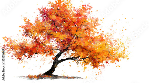 A beautiful abstract autumn tree isolated on white background 