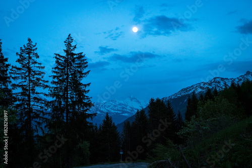Foto Moonlit Alpine Landscape with Pine Trees