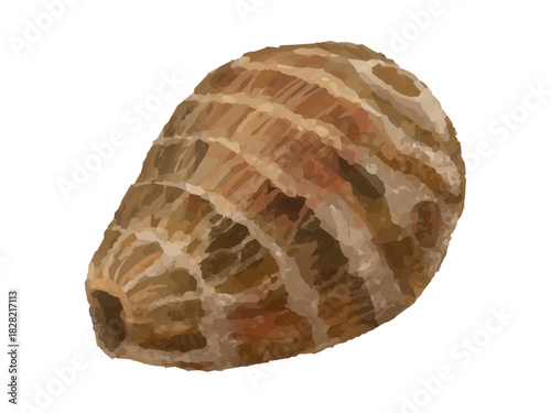 里芋のベクターイラスト(丸ごと・しずく型)