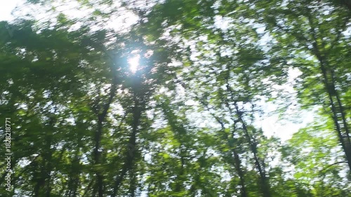 Point of view pov looking up car driving shot at Spruce Knob West Virginia road, sun behind trees in summer, blue sky