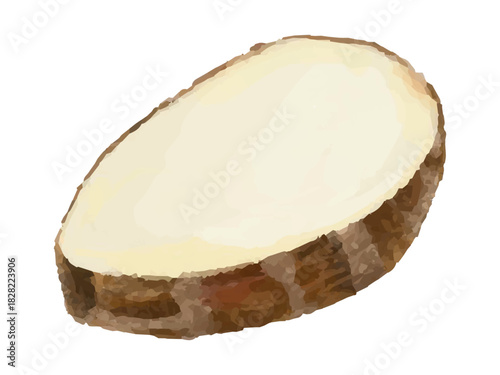 半分にカットした里芋のベクターイラスト(しずく型)