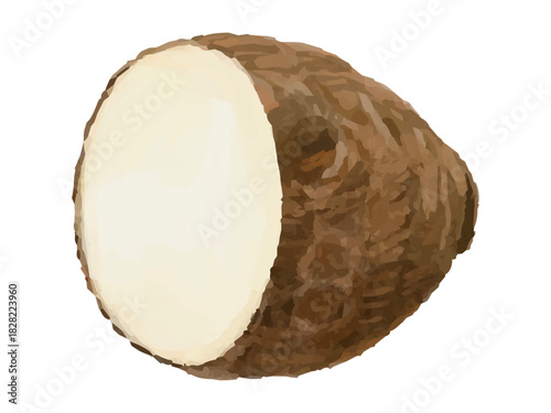 里芋半分カットのベクターイラスト(縦切り 料理素材)