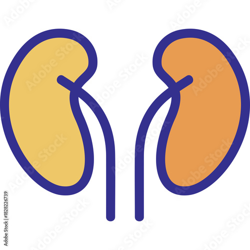Stylized Illustration of Human Kidneys in Yellow Orange and Blue Colors Against a Transparent Background Representing the Urinary System and Health