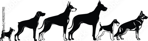 Silhouettes of different dog breeds lined up showing size comparison, from small chihuahua to large great dane, for pet-related vector illustration design content.