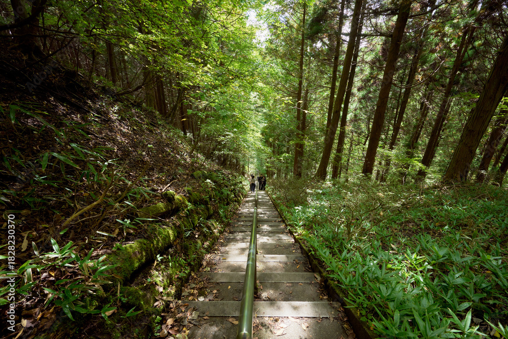 Fototapeta premium 石割神社の長い階段