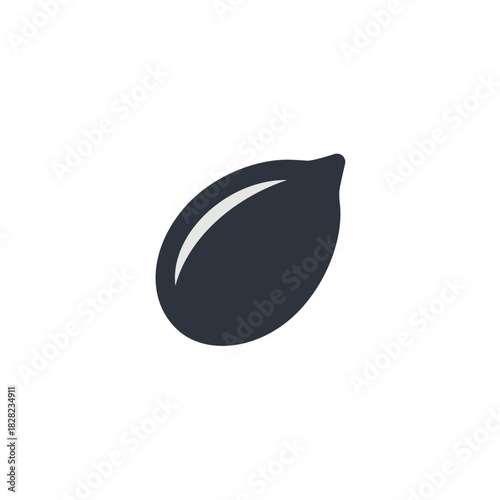 Dark, stylized vector illustration of a single melon or sunflower seed, representing growth, food, and natural ingredients.